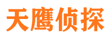 临高寻人公司